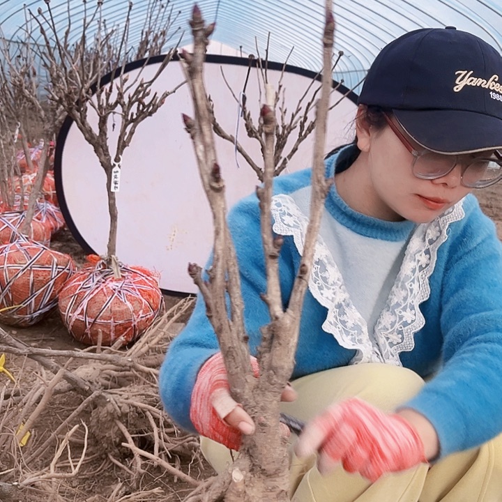 完全开放11111111111111