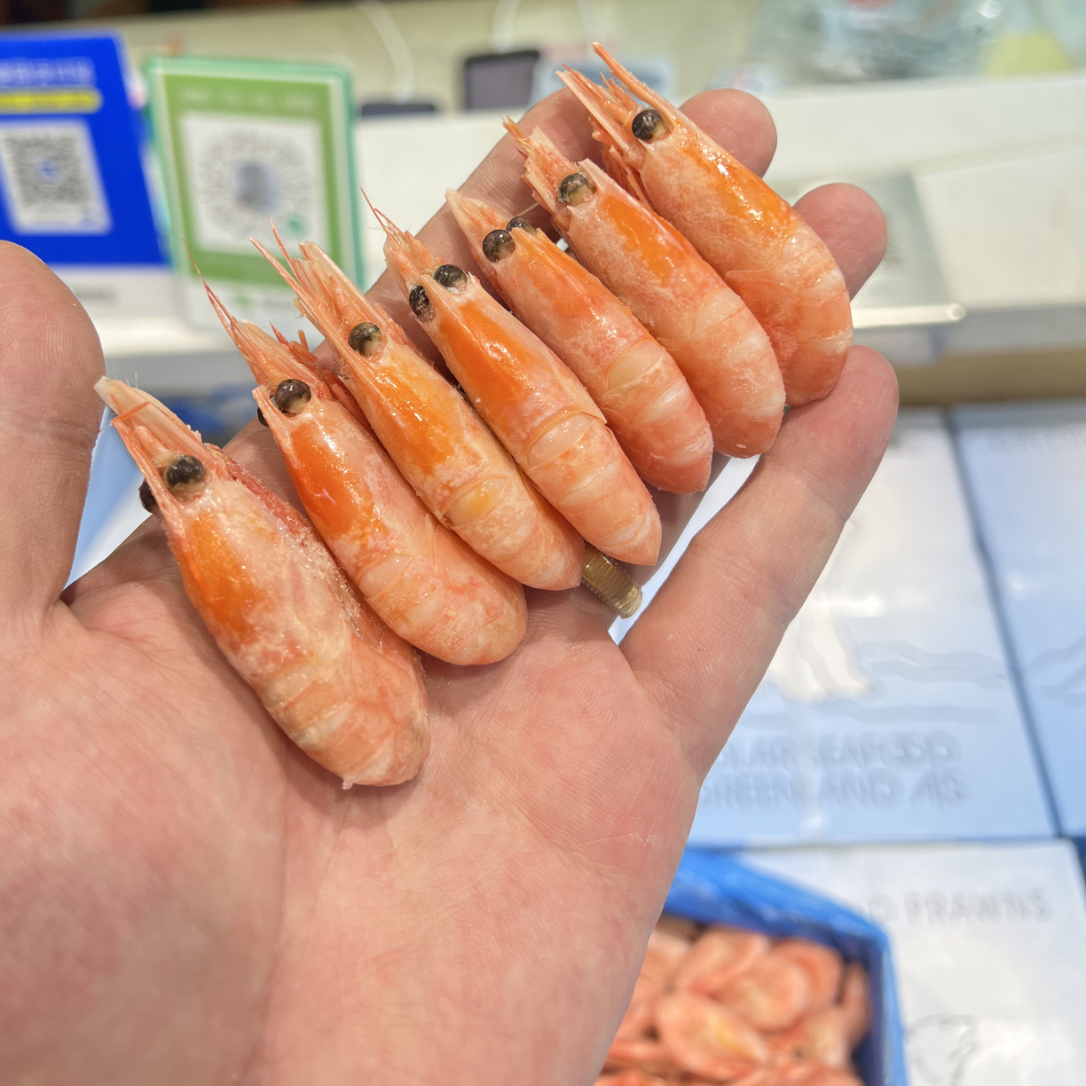 【北极熊头籽冰虾70/90型号】净重3斤装 头籽 颜色亮 口感鲜甜