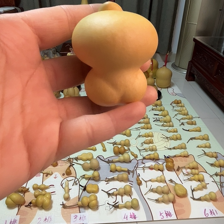 十****金蝉葫芦葫芦葫芦