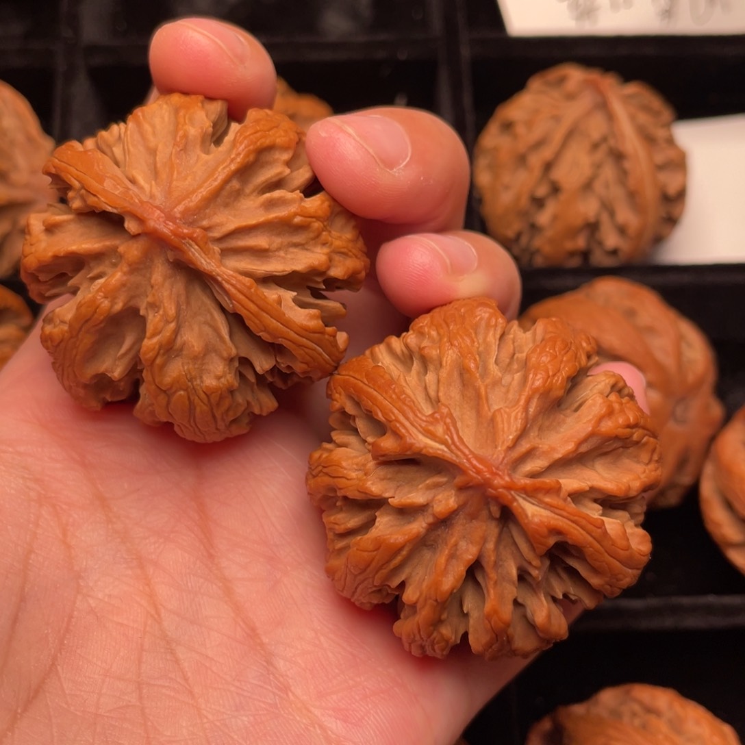 秦岭野生文玩核桃