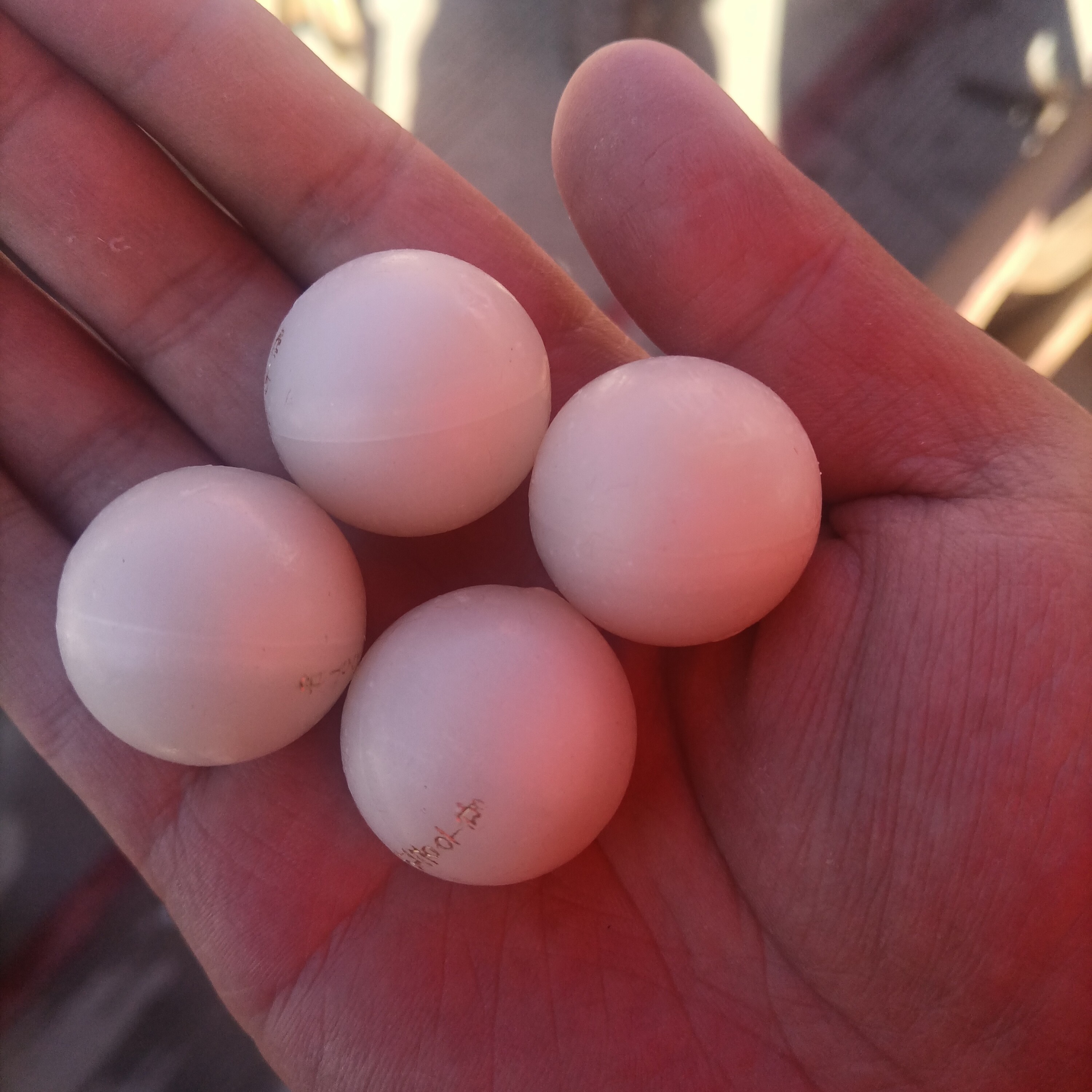 安～工～小丸子滋补品