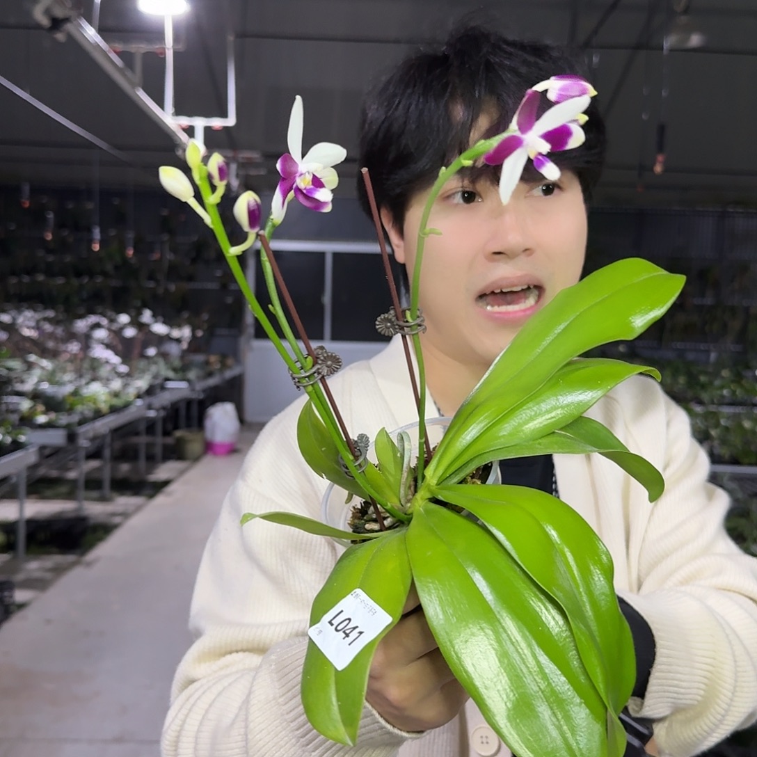 花***间完全开放L041yss1215 专拍