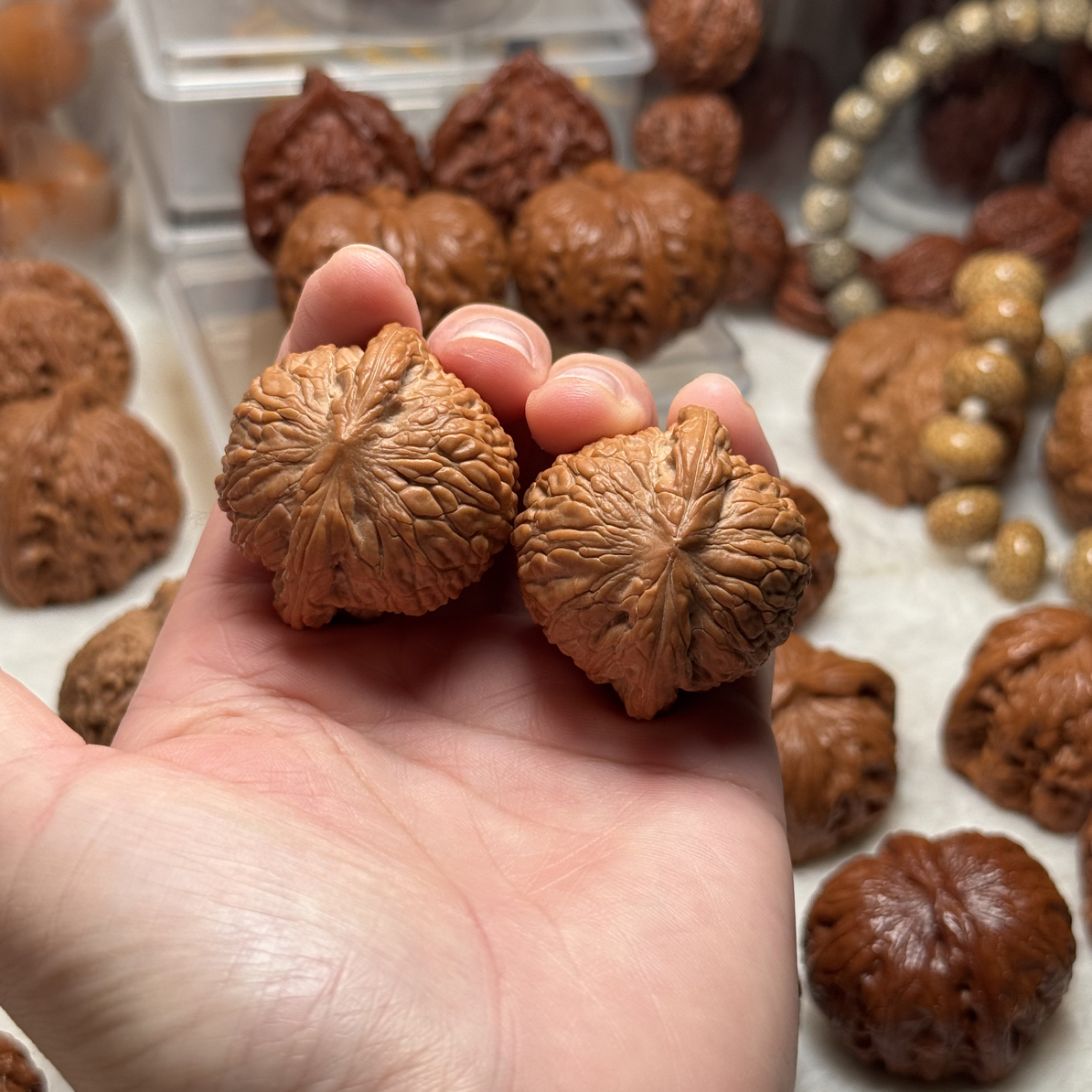 36尺寸全品矮桩泥鳅背核桃