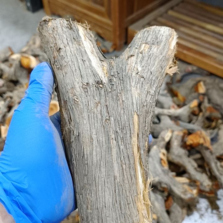 平***福香榧木崖柏原叉崖柏原叉崖柏