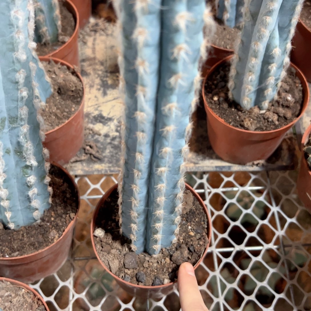 啊***秋冠哈哈哈哈哈哈哈哈哈哈哈哈哈