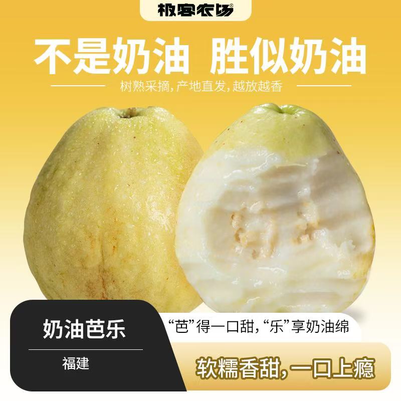 冰淇淋奶油芭乐3斤毛重福建省新鲜