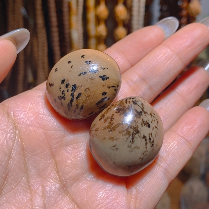 野生木鱼果菩提把件