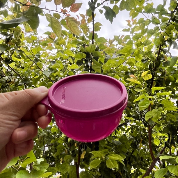 特百惠 小胖碗260ml便携 密封 保鲜圆碗