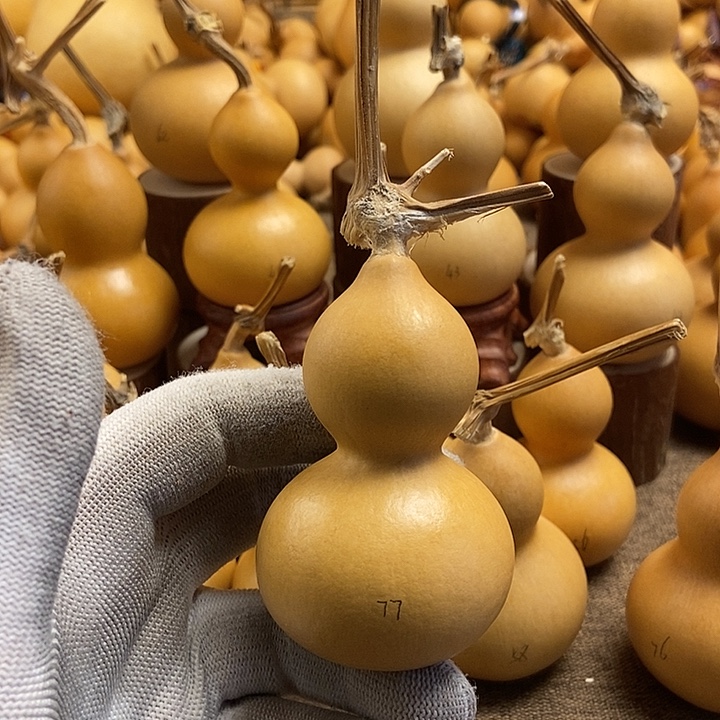 文玩葫芦 完美主义者 慎拍77