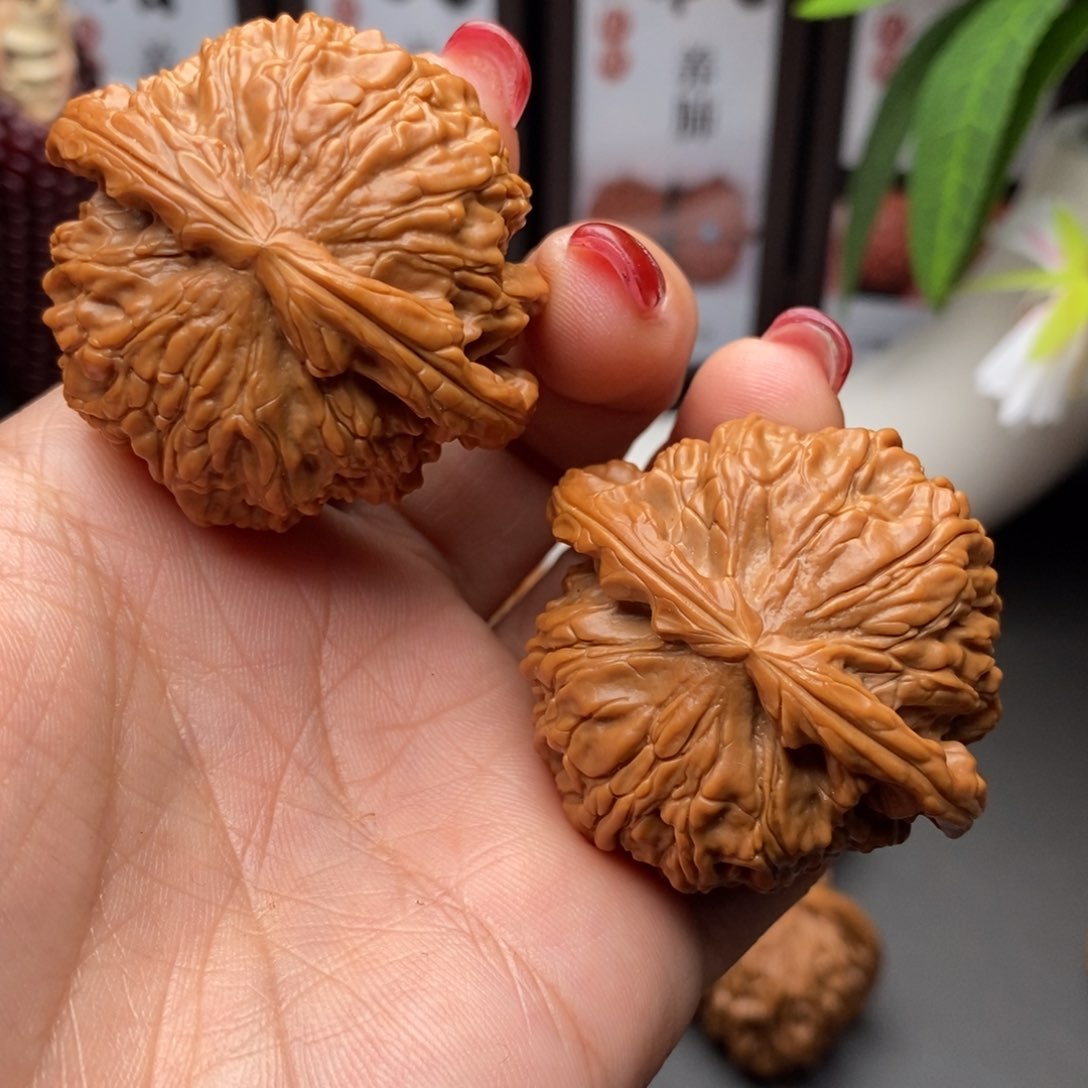 文玩核桃把件H白狮子