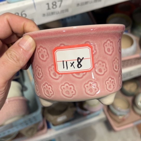 ［所有订单凑满15发］11×8