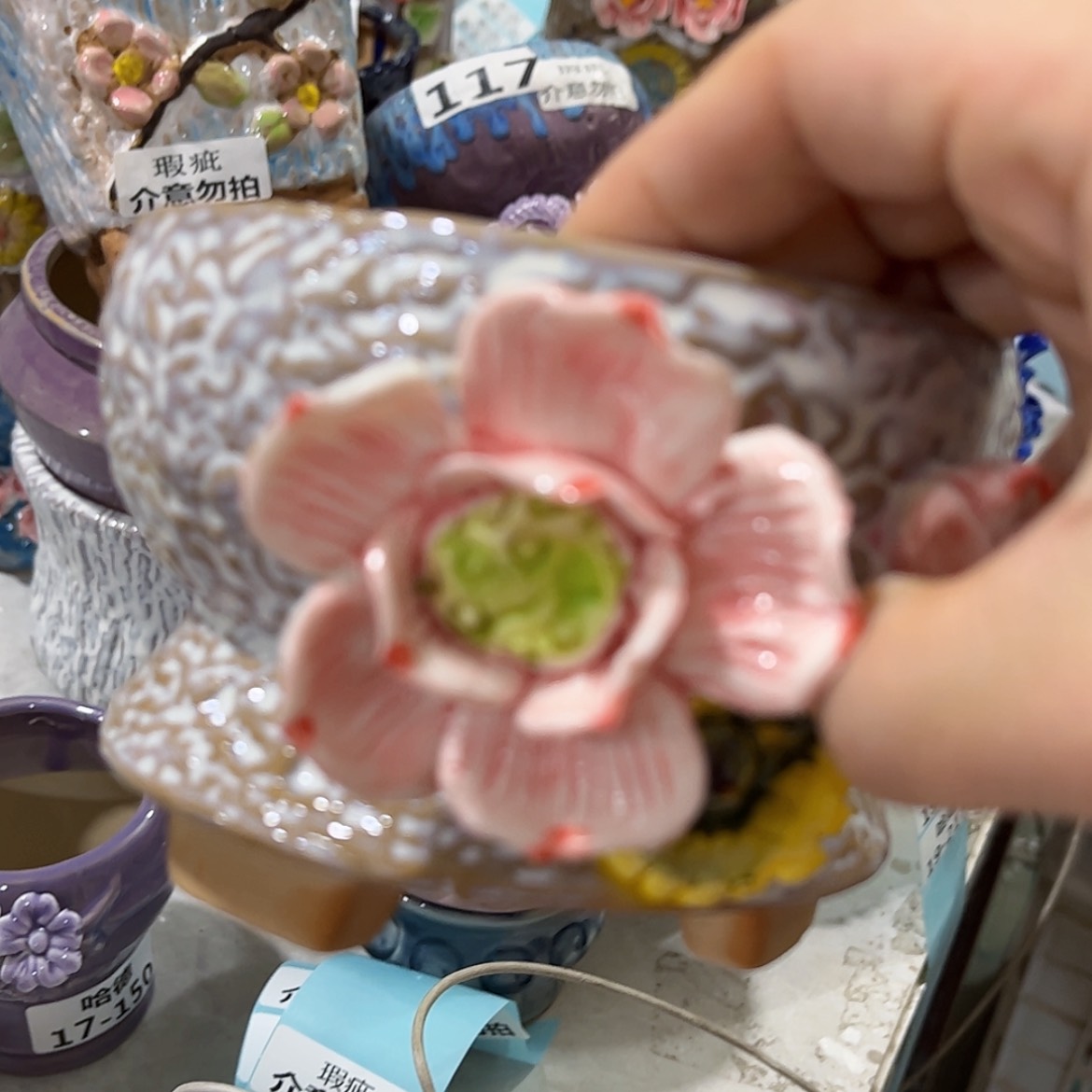 【闪购商品】红陶福利