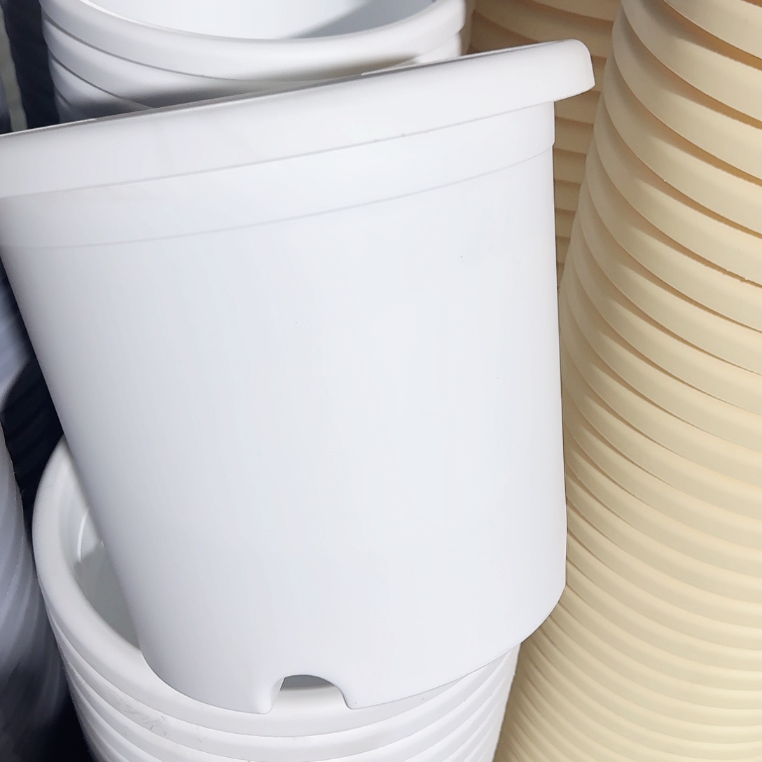 树脂四季4#无拖纯白10个