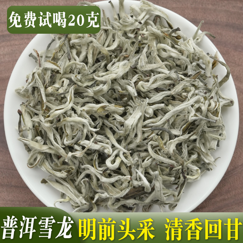 2025高山明前普洱绿茶雪龙清香回甘芽头饱满浓香型煮罐罐茶云南