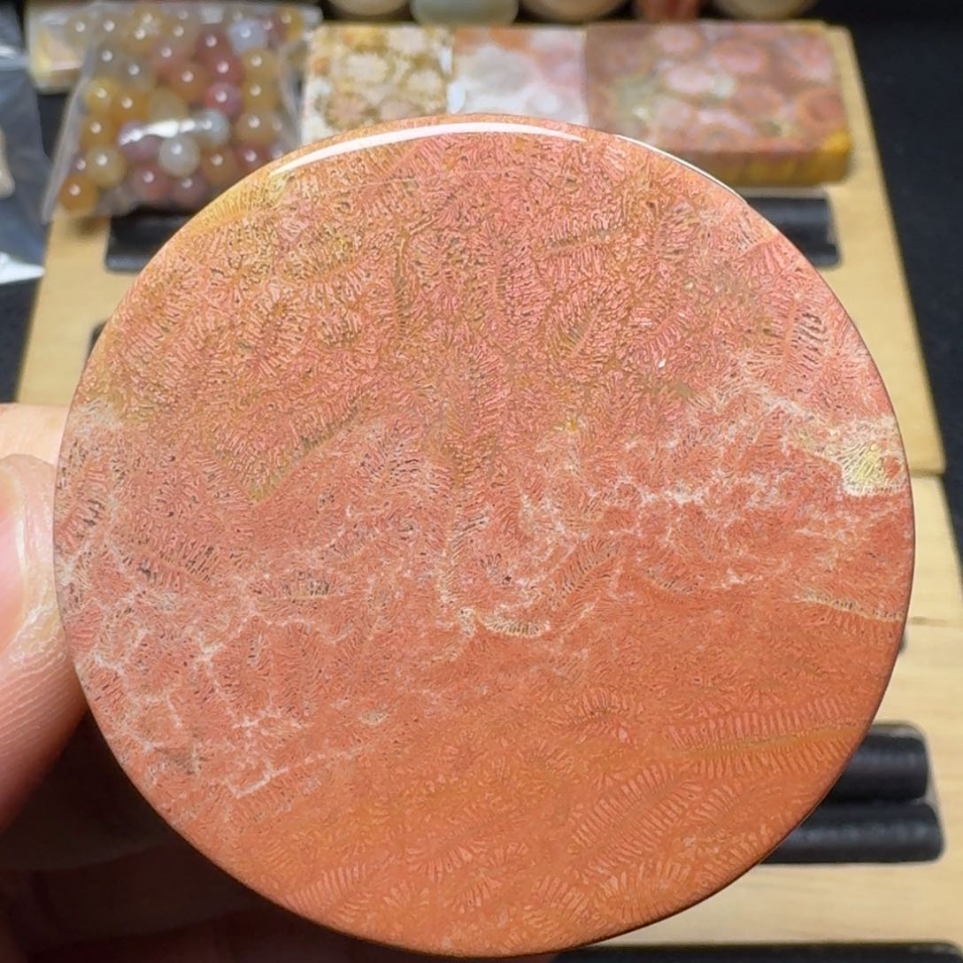 硅化玉纯天然色有机玉石手镯芯未镶嵌