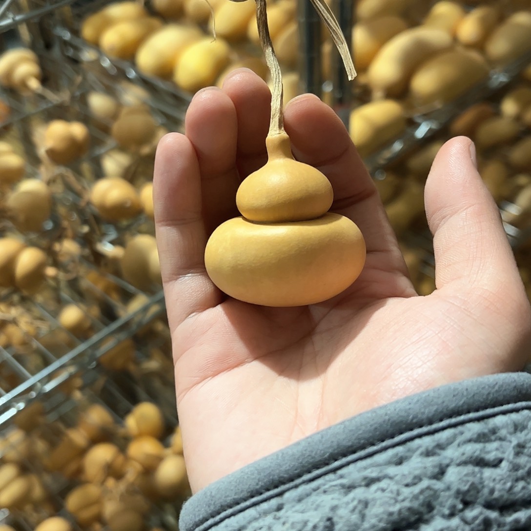 云*葫芦娃的时候我也是醉了