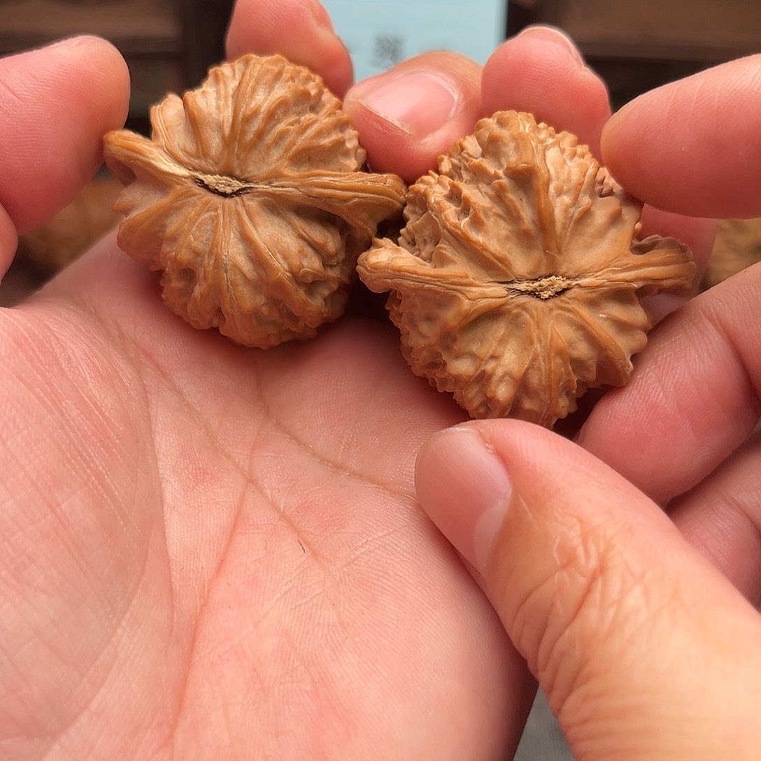 满***红文玩核桃吊坠白狮子