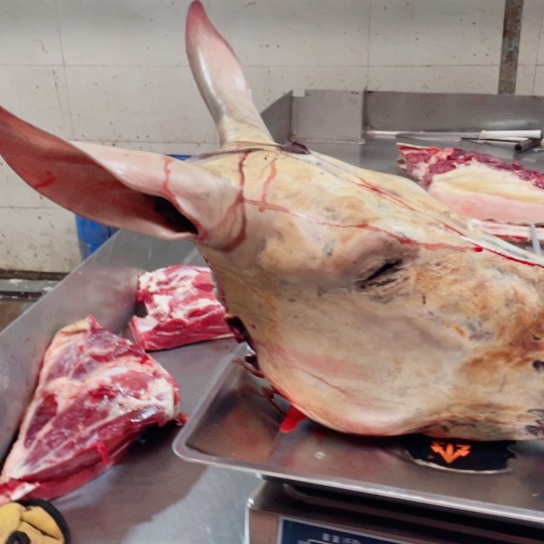 【闪购商品】冷冻保存30天包装河北省