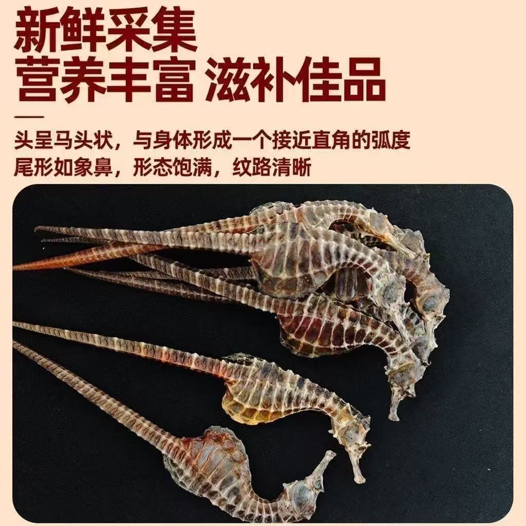 【爆款】公母配对可炖汤泡酒的海马干非野生中药材
