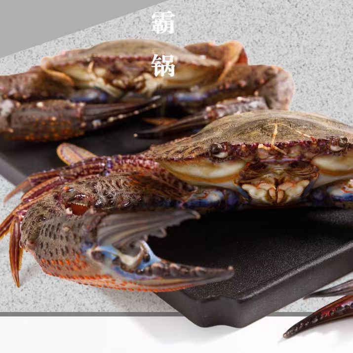 福建东山岛野生海捕金刚蟹黑蟹3只/斤鲜活速冻顺丰包鲜到家