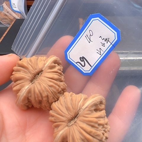 文玩核桃吊坠山****?楼