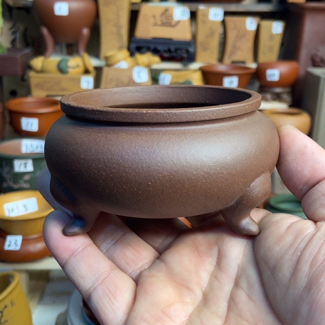 紫砂花盆长青，内口经尺寸8×4