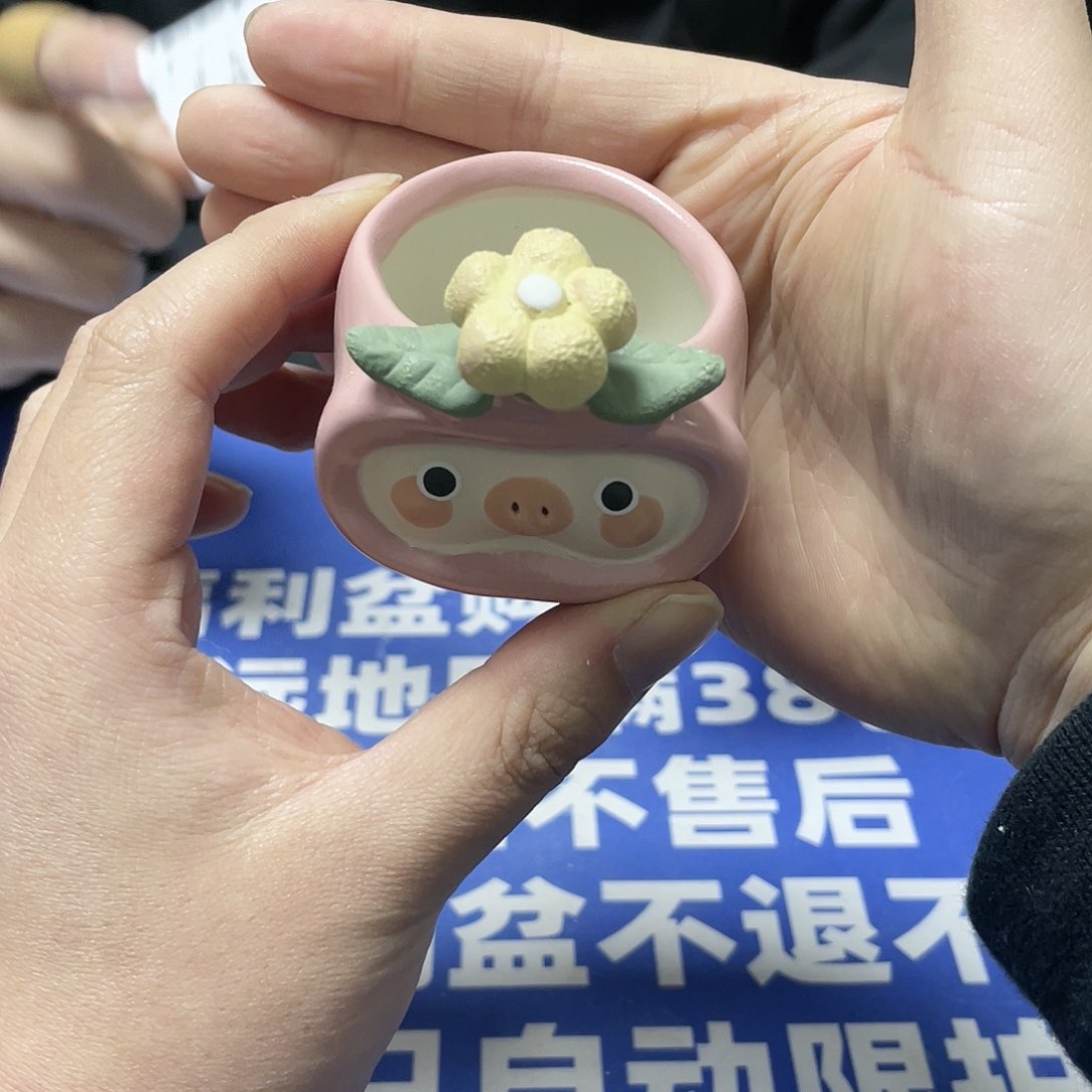红陶特价微瑕疵不退不换 306