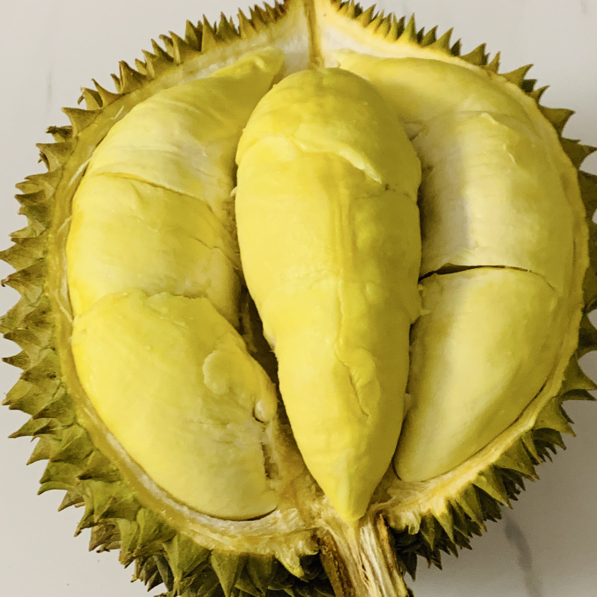 金枕头榴莲金枕越南