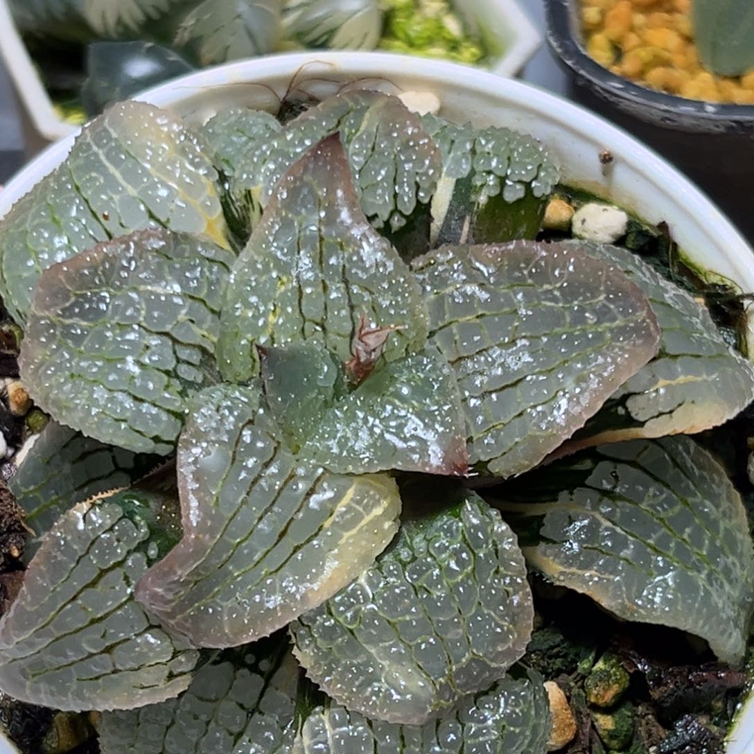 恭喜发财大吉大利0109