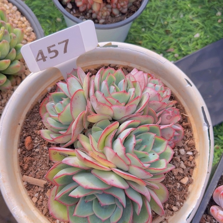 健健康康平平安安