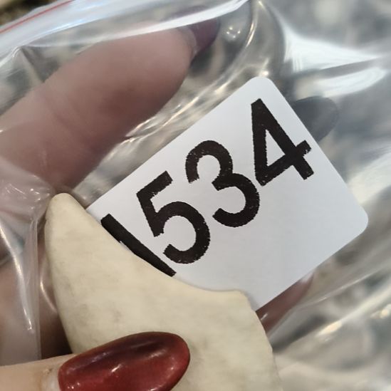 <***>鹿角鹿角鹿角鹿角鹿角