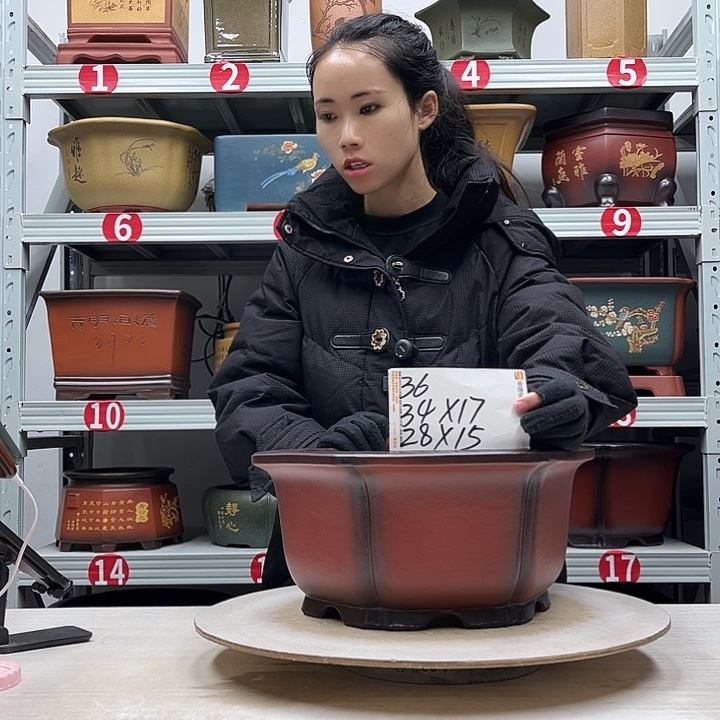 紫砂花盆紫砂花盆