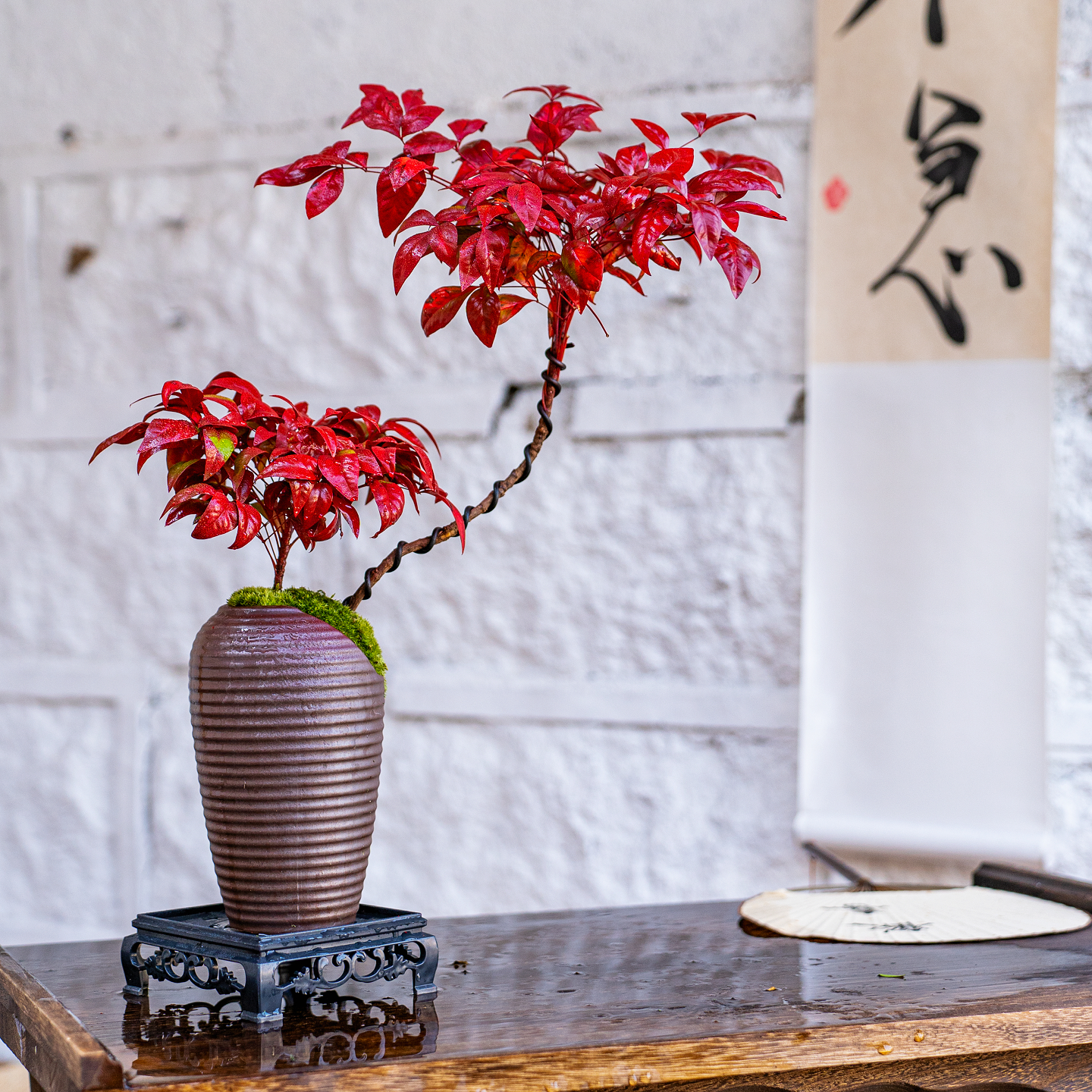 【火焰南天竹】造型盆景室内桌面精致盆景冬季红耐寒耐冻好养绿植