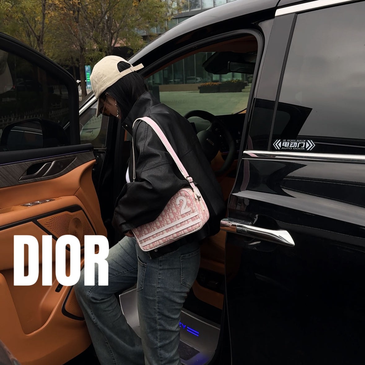 修复品619341/DIOR/迪奥粉色相机包