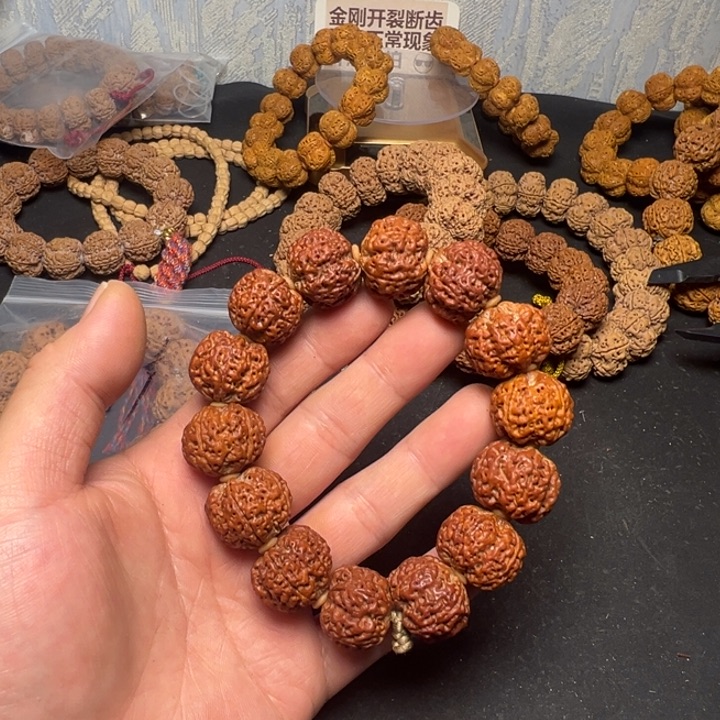 金刚菩提手串红皮