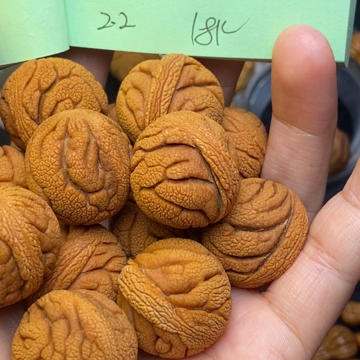 无***良桃核吊坠秦岭龙纹桃核22