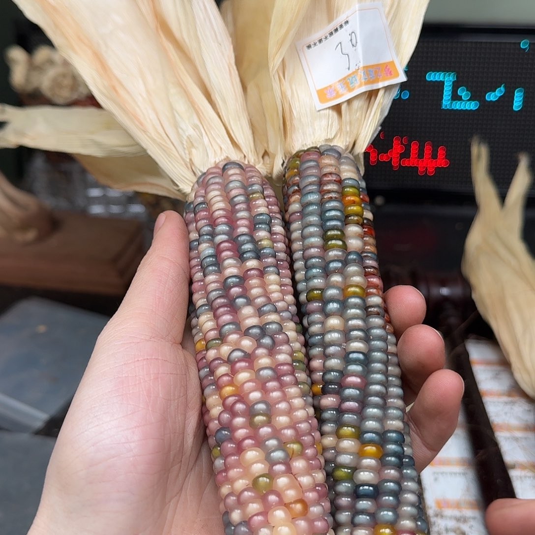 柏香籽/百香籽吊坠米*