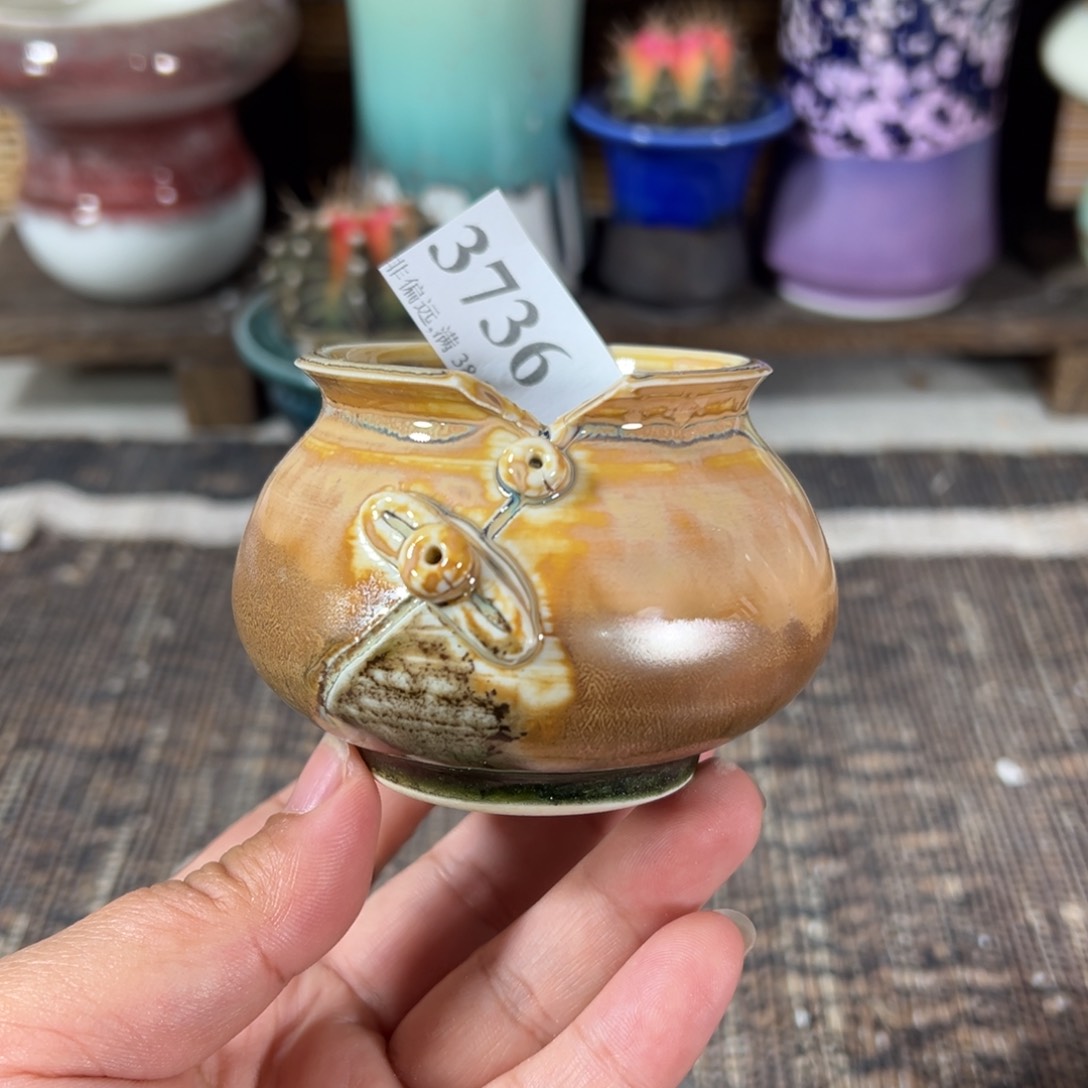 红陶口5高6手工花色