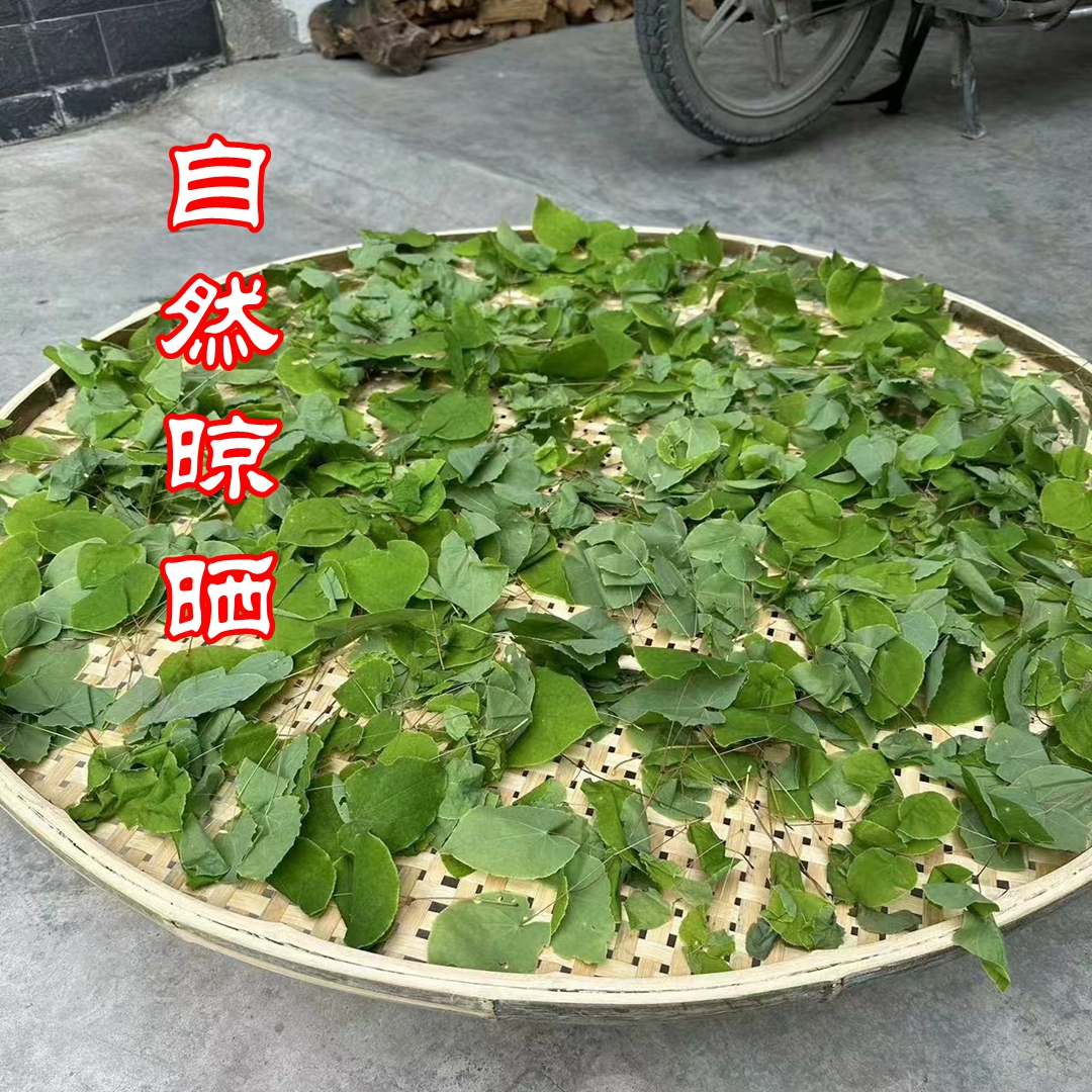 甘肃三枝九叶草小圆叶仙灵脾自然晾晒 手工挑选
