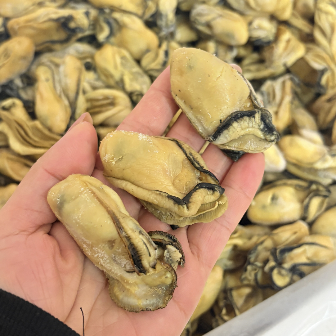 北海渔民自晒金蚝干/生蚝干，煲汤煲粥焖炒五花肉