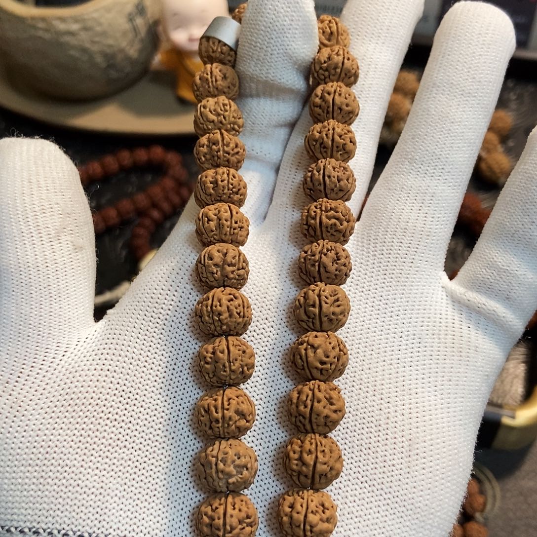 菩提籽类臻选级南瓜王11.7