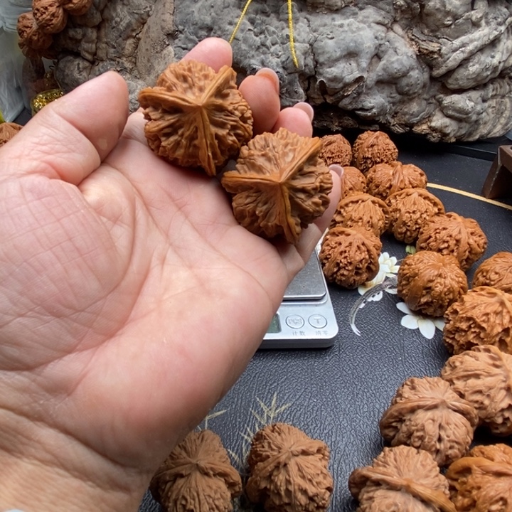 玉玺三39微修拍吧