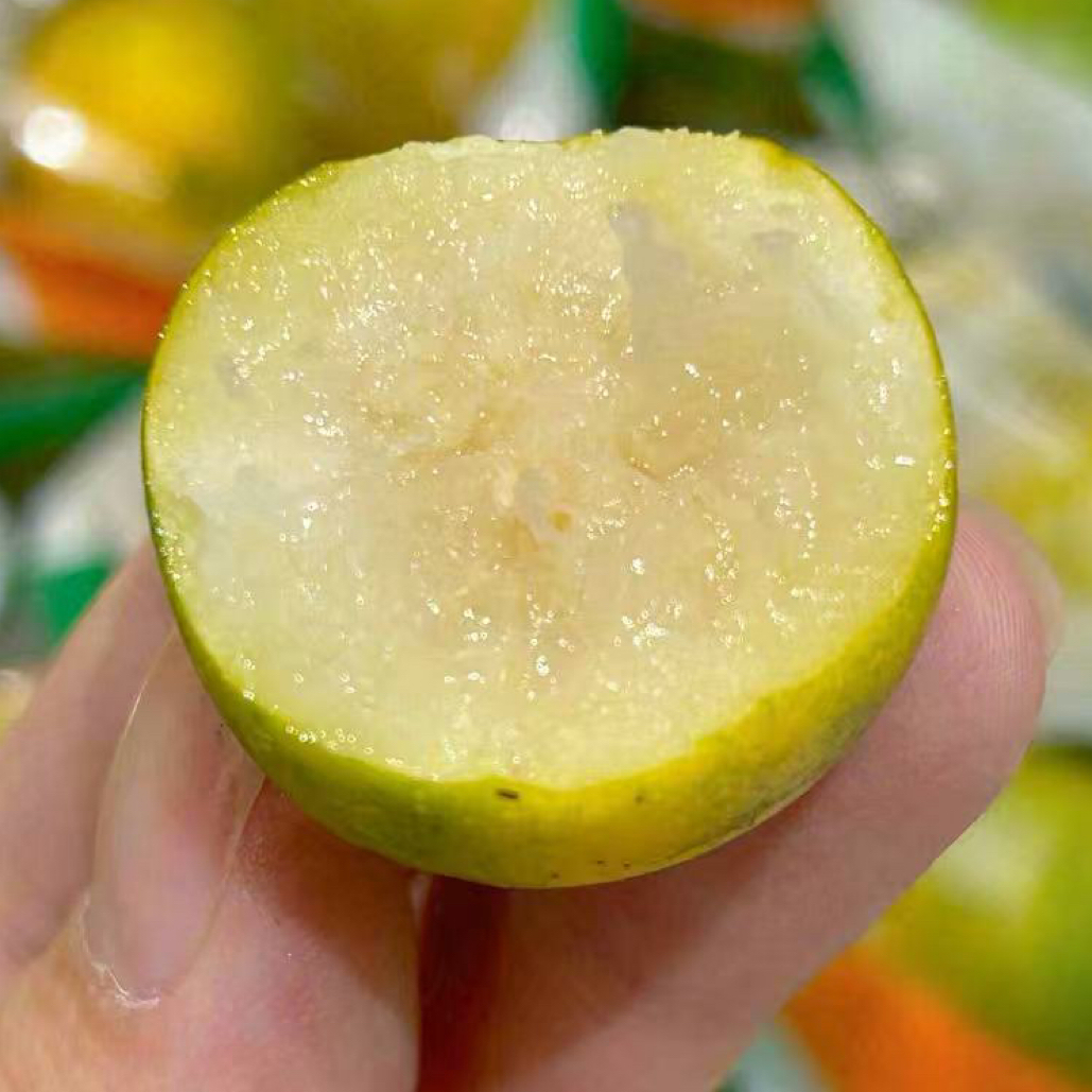 脆皮小金桔  一盒装 250g广西壮族自治区