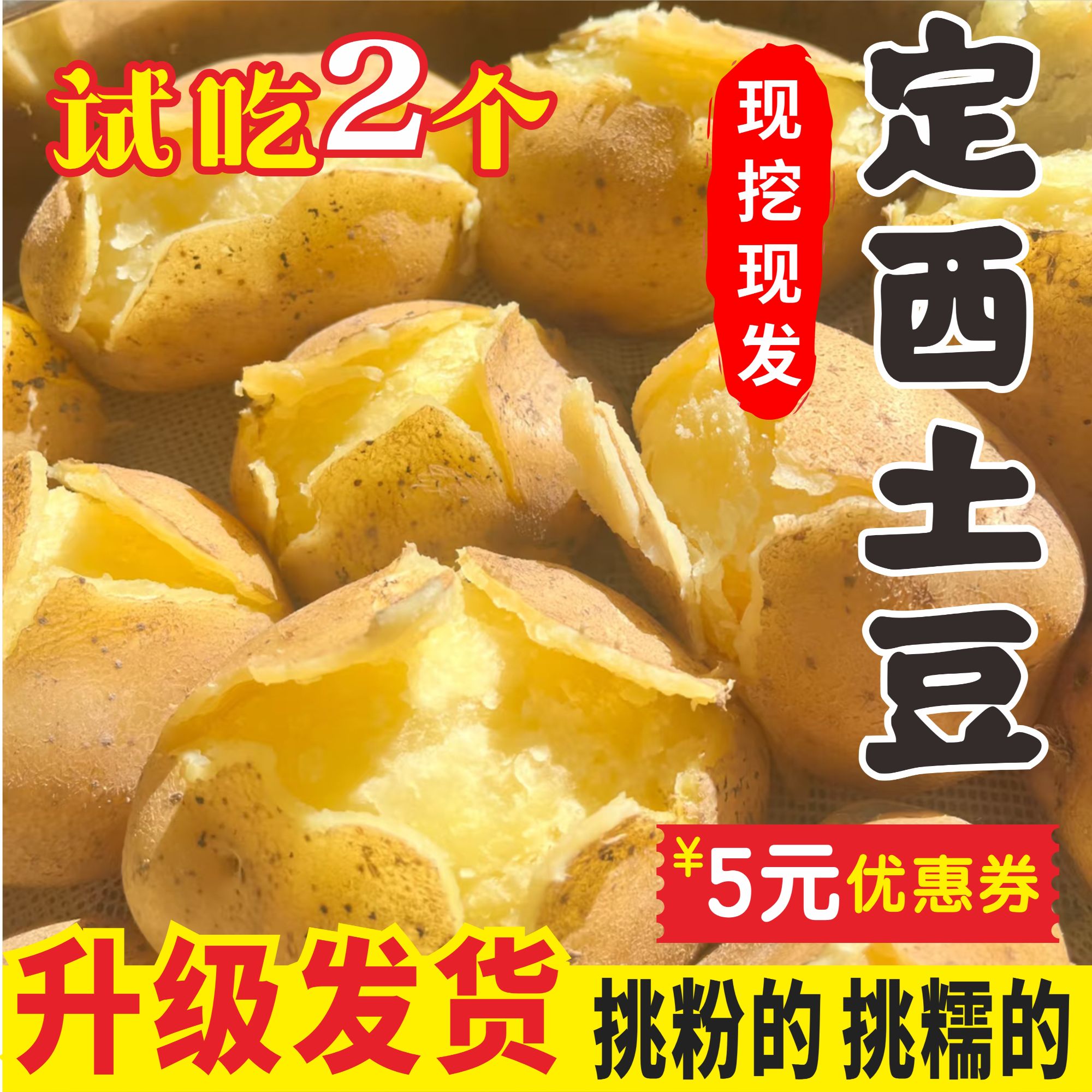 【试吃两个 升级规格直发】定西土豆 粉面糯沙黄心土豆洋芋马铃薯