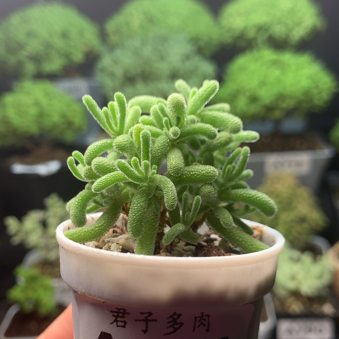 804冰川。           