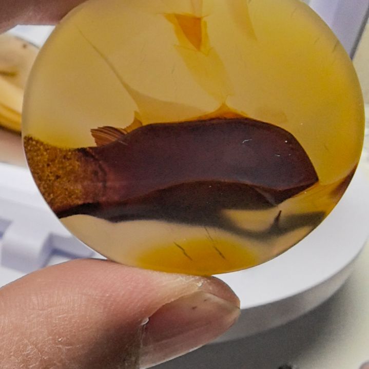 非金属时尚饰品30