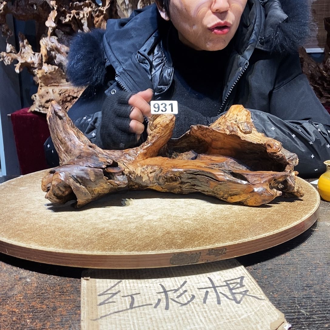 H****931。随行根艺株木