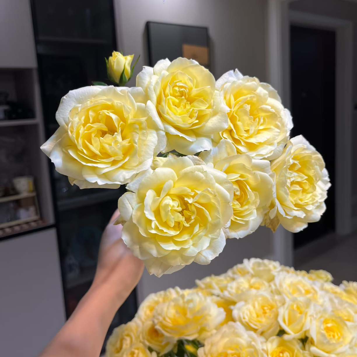 「嘤嘤怪鲜花」柠檬汁多头玫瑰花物语云南直发顺丰包邮