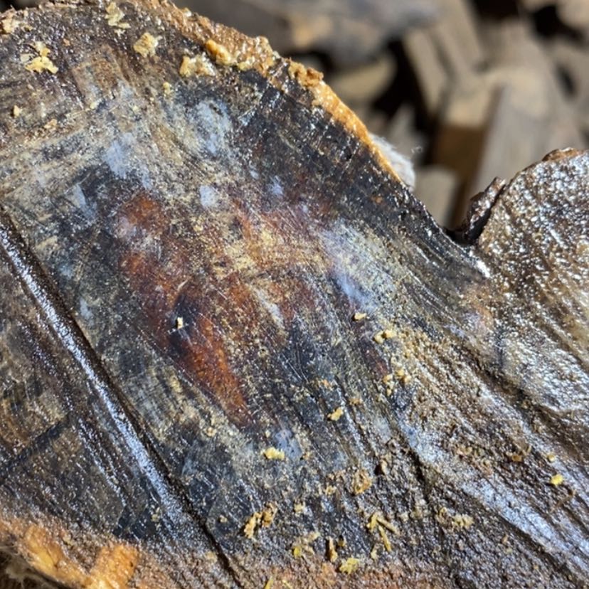 【闪购商品】手串贡木老*-私人订制