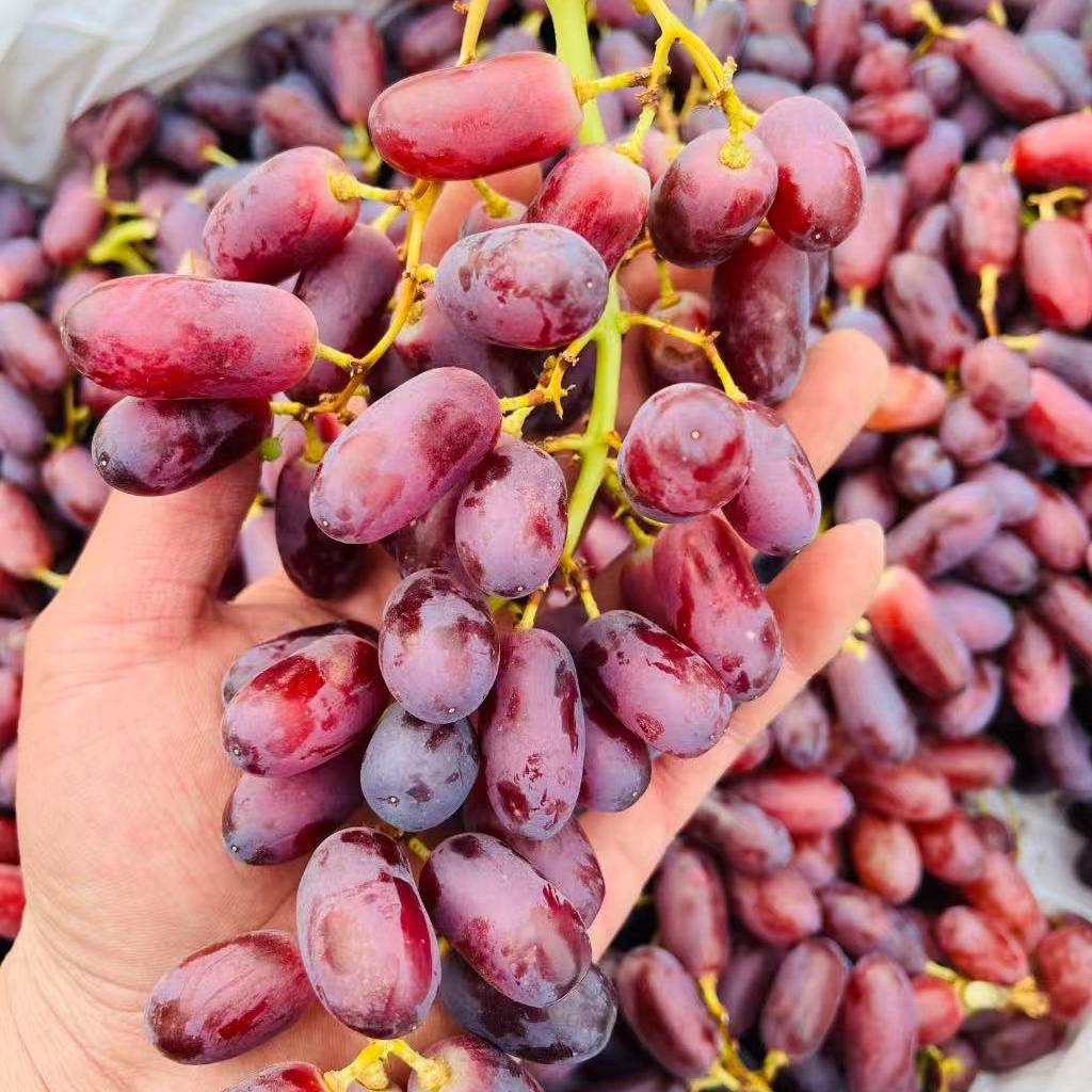 澳洲克伦森长粒提子，脆甜可口2斤装上海市